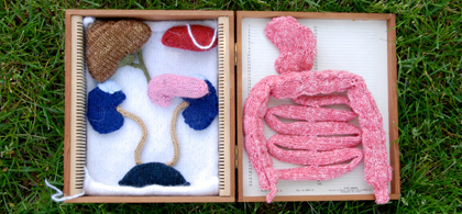 Knitted organs