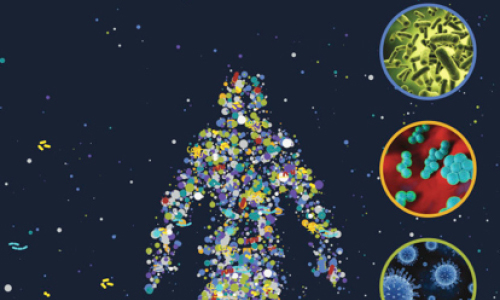 Human made of microbes