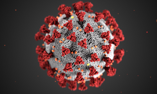 Illustration of a coronavirus