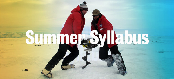 Summer Syllabus illustrated banner