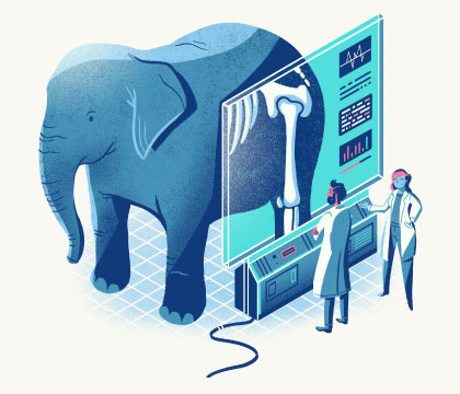 Elephant in a room