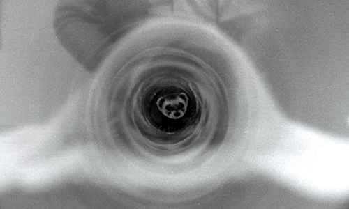 ferret in particle beam tube
