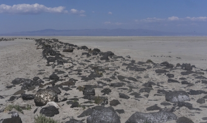 Spiral Jetty