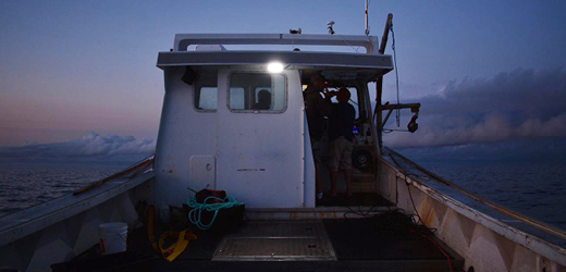A lobster boat motors into the dawn off Prince Edward Island.